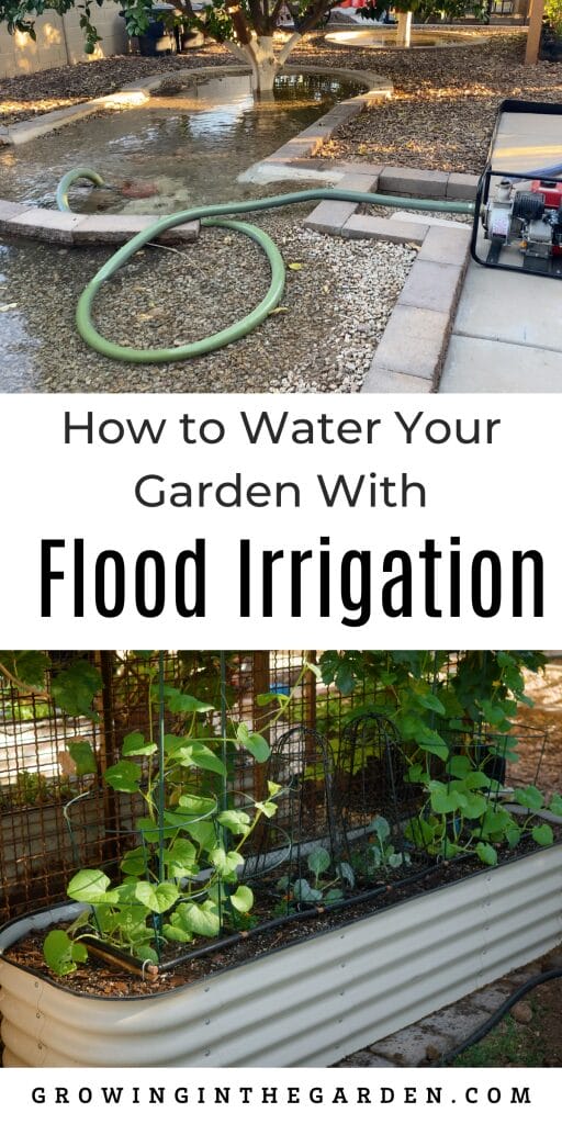 How to Water Your Garden With Flood Irrigation