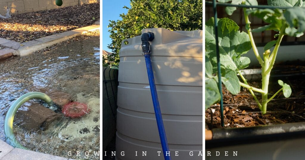 How to Water Your Garden With Flood Irrigation