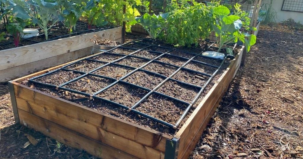 How to Water Your Vegetable Garden