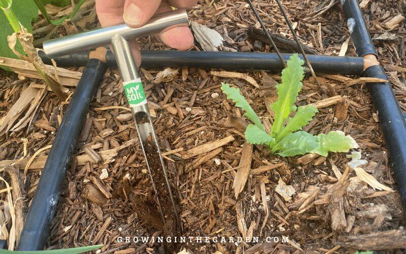 Pull soil from 5-7 different spots/locations to a depth of 6 inches. I dump the soil samples into the box and then close the lid and shake it to mix it up. Remove large pieces of bark or mulch. 