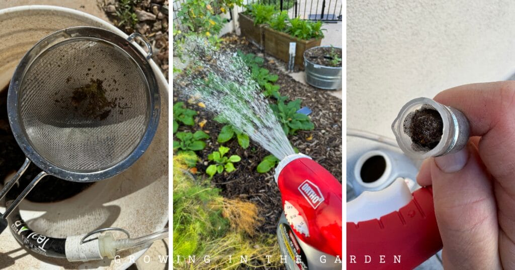 How & Why to Make Worm Castings Tea