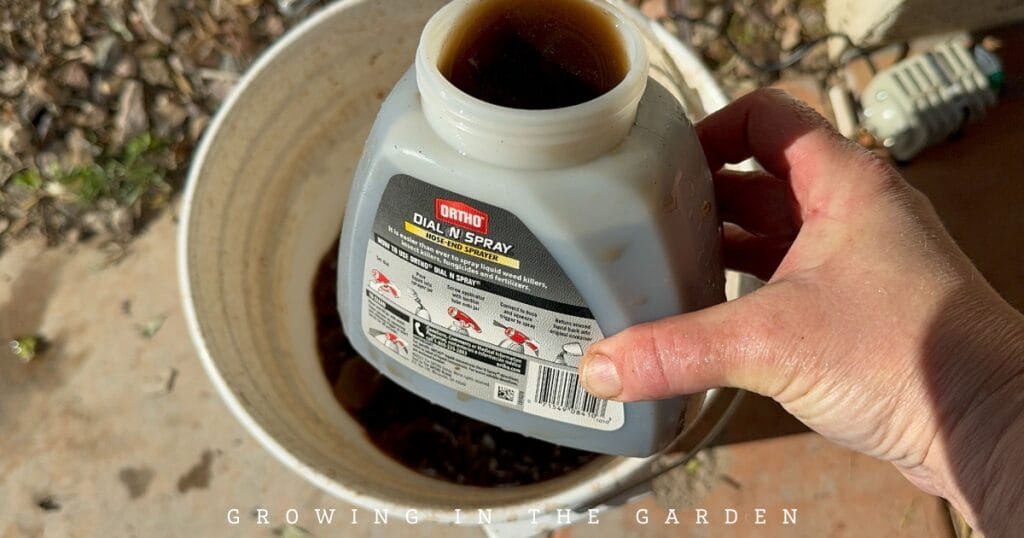 How & Why to Make Worm Castings Tea