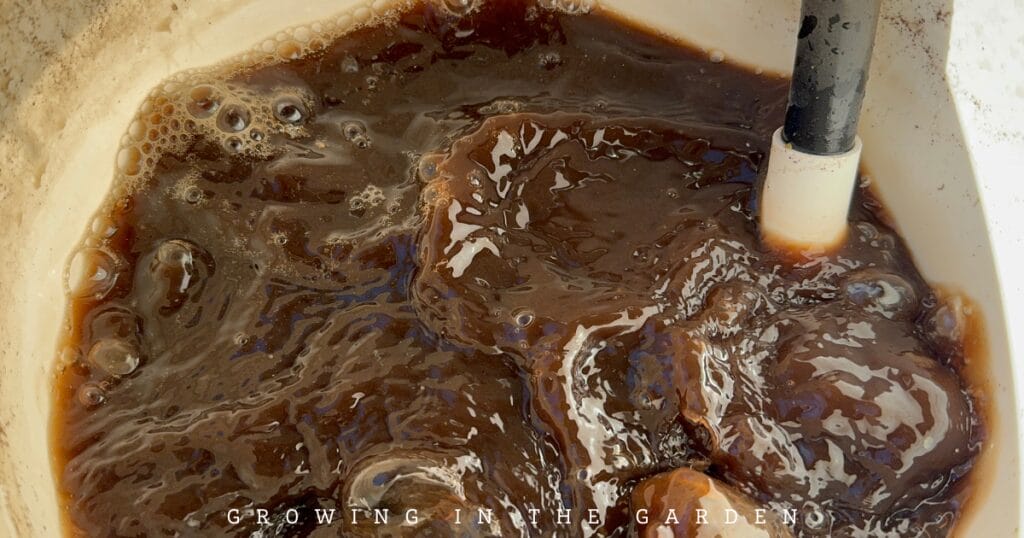 How & Why to Make Worm Castings Tea