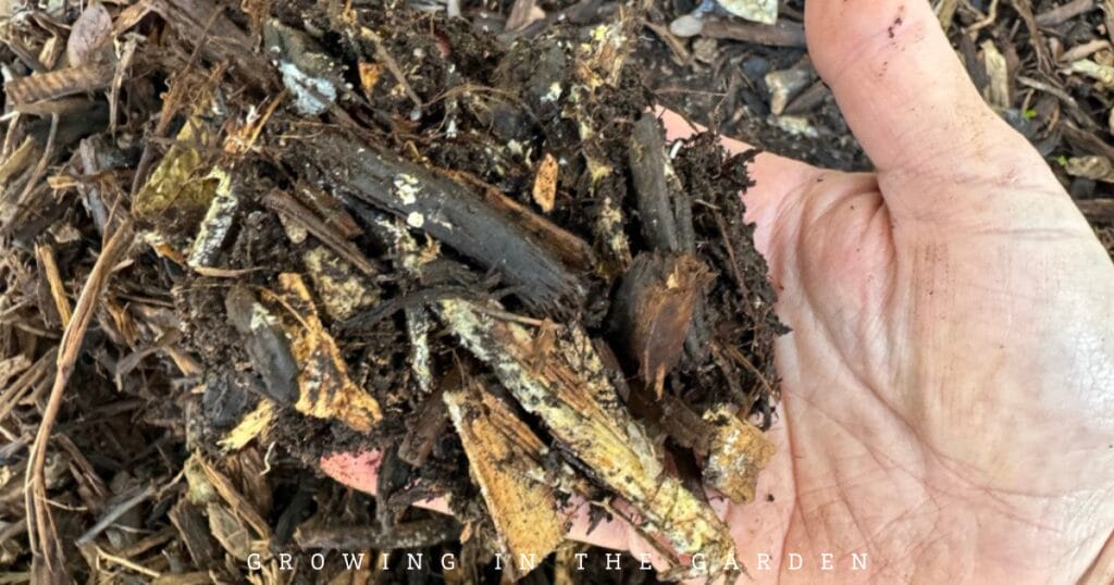 How & Why to Make Worm Castings Tea