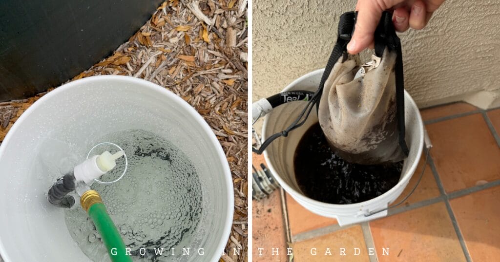 How & Why to Make Worm Castings Tea