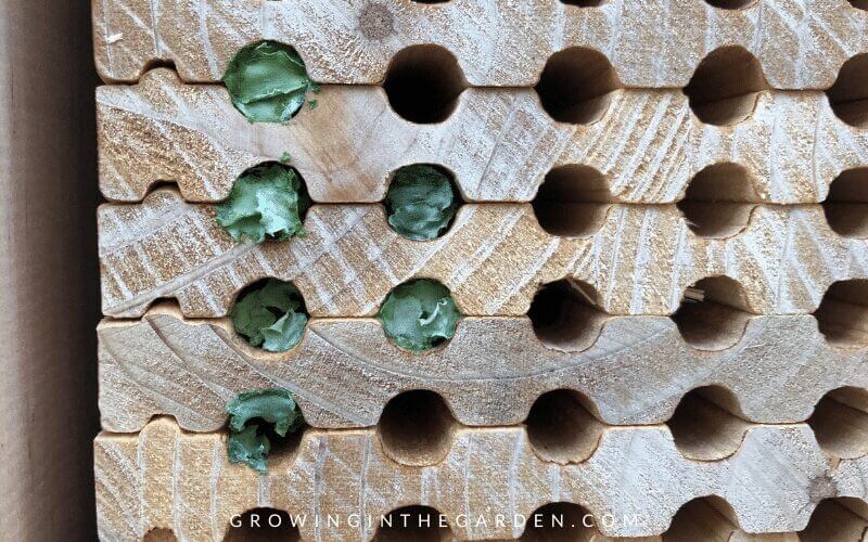 how to use insect hotels