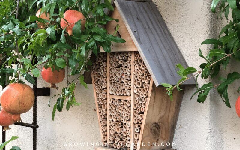 how to use insect hotels