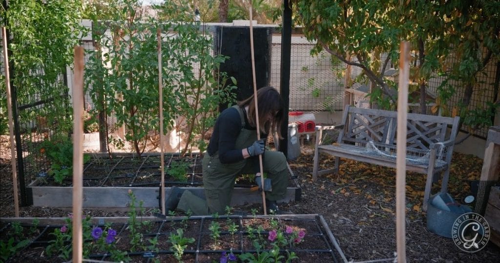 Installing stakes for plant netting support