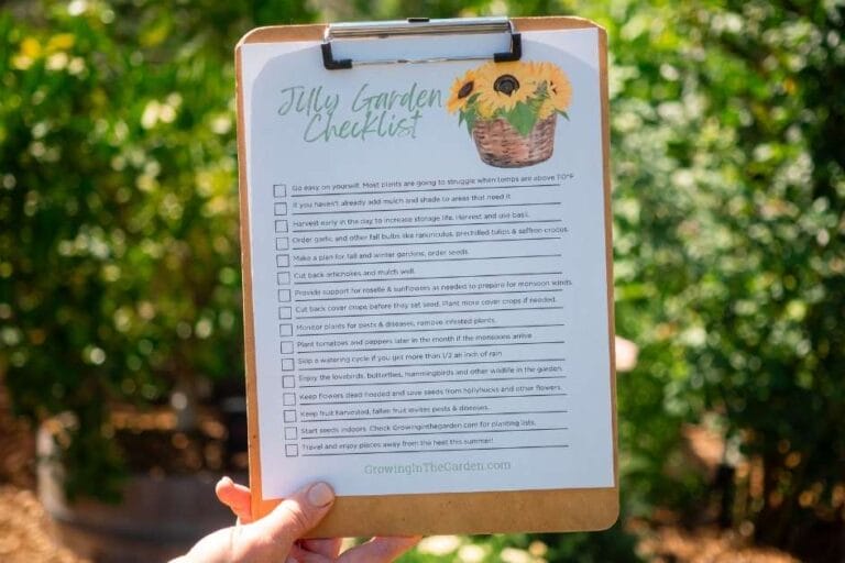 July Desert Gardening featured image