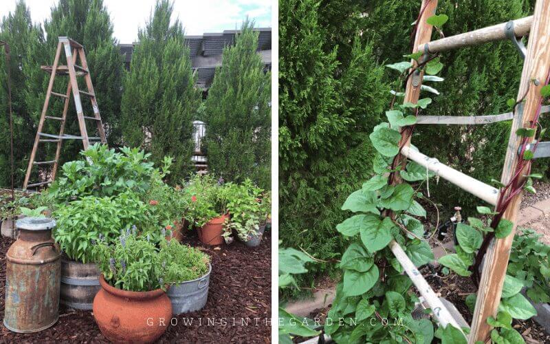 Maximize your garden space with ladder gardening. Learn how ladders boost plant health and add aesthetic charm to any outdoor area.