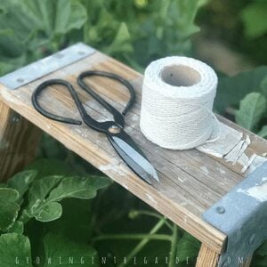 Ladders in the garden #repurpose #vintage #ladders #garden