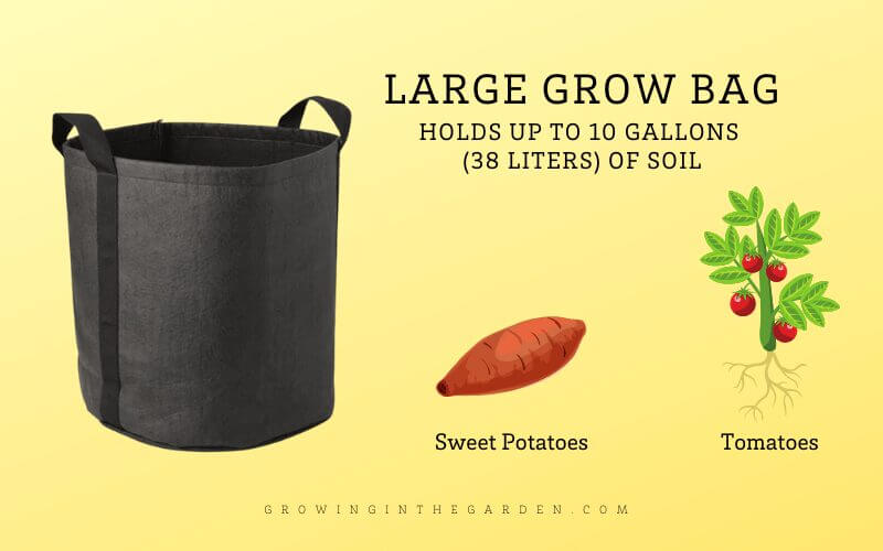 Grow Bag Gardening 5 Tips for Success