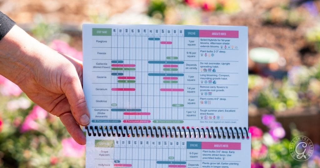 Low Desert Flower Planting Guide