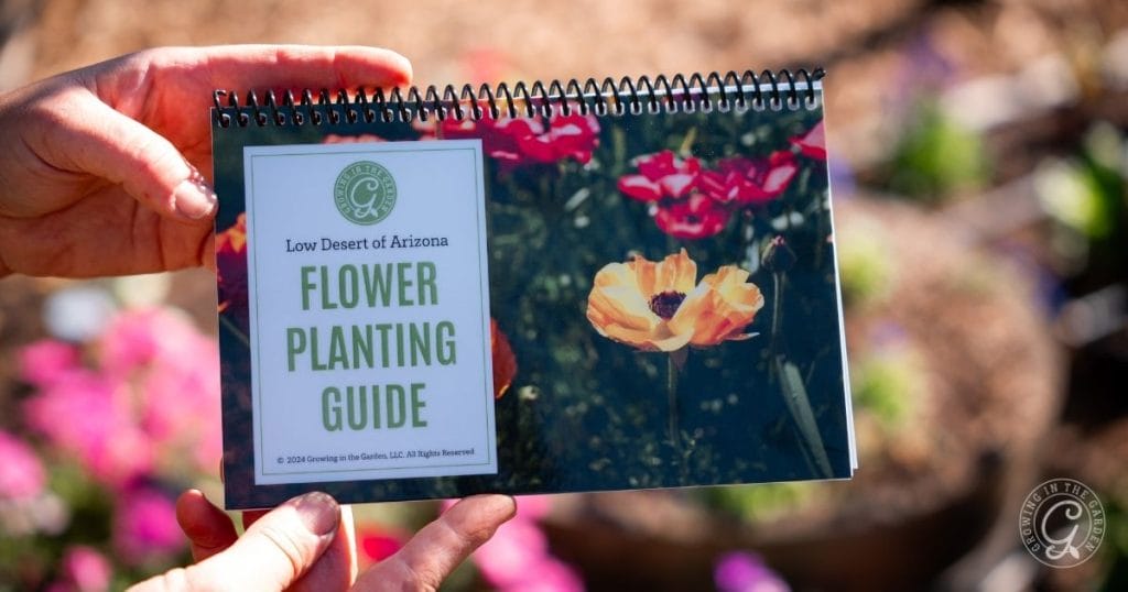 Low Desert Flower Planting Guide