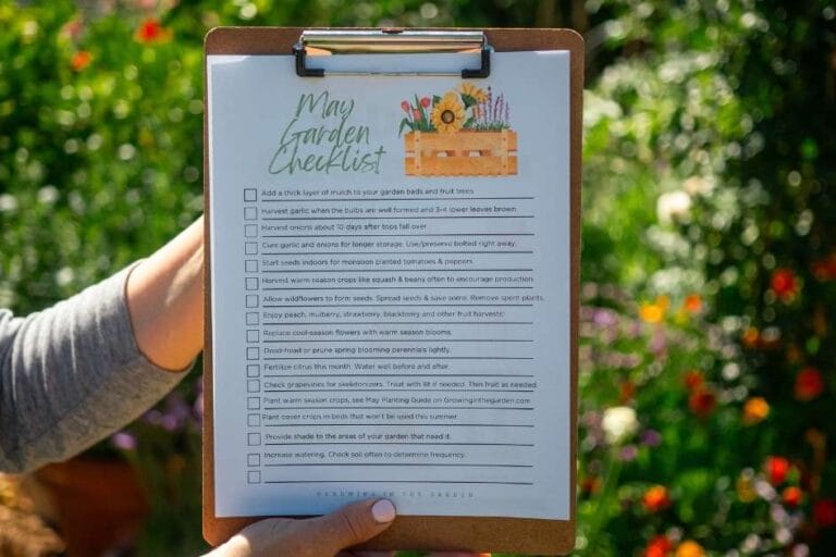 Arizona Garden in May featured image