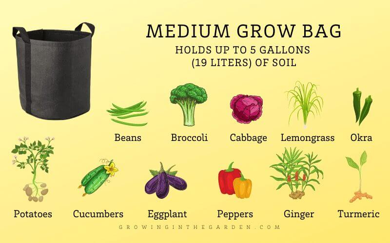 Grow Bag Gardening 5 Tips for Success