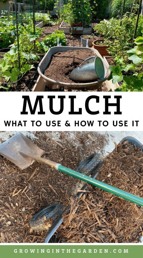Mulching Your Garden: What to Use and How to Use it