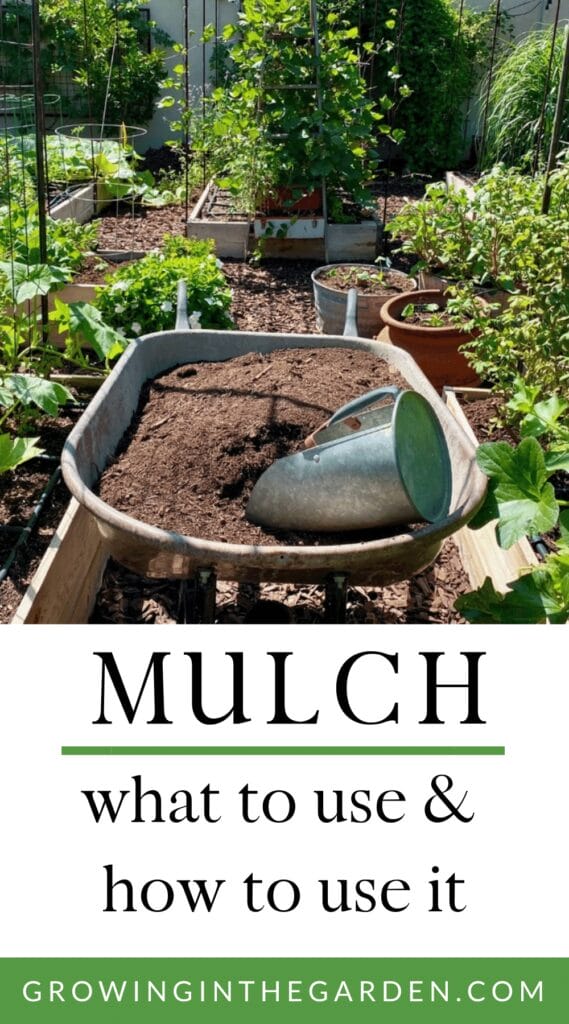 Mulching Your Garden: What to Use and How to Use it