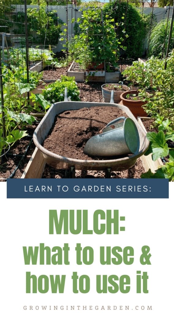 Mulching Your Garden: What to Use and How to Use it