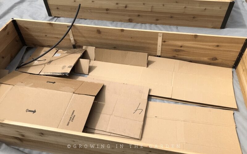 Cardboard is often used as sheet mulch under beds and in pathways to help prevent weeds. Spread newspaper in beds, but top with something else like compost or soil to hold it in place. 