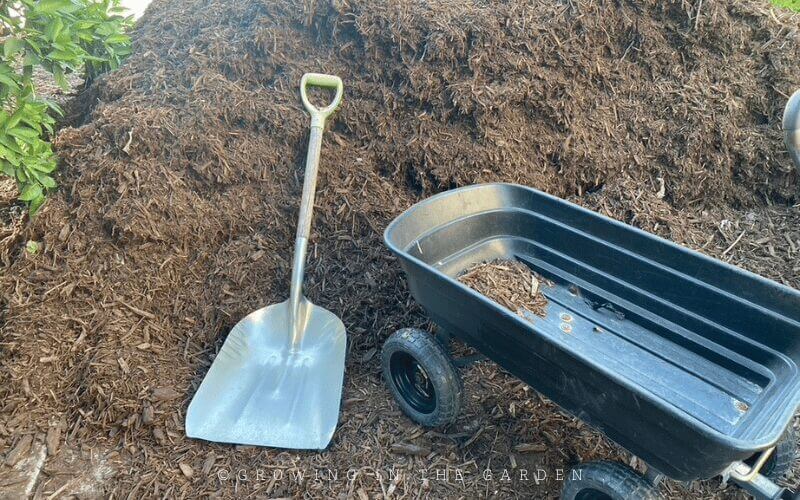 Which mulch to use in your garden