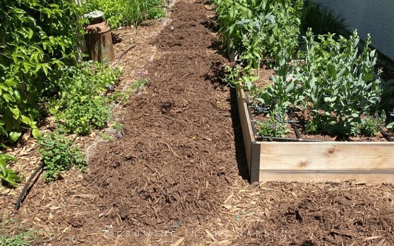 Which mulch to use in your garden