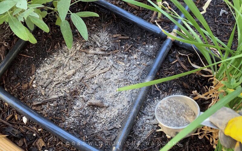 Which mulch to use in your garden