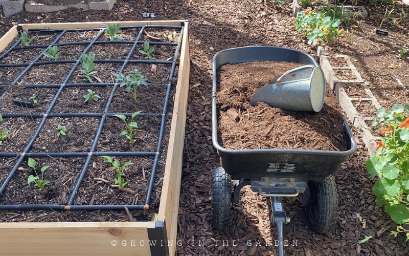Mulching Your Garden: What to Use & How to Use it