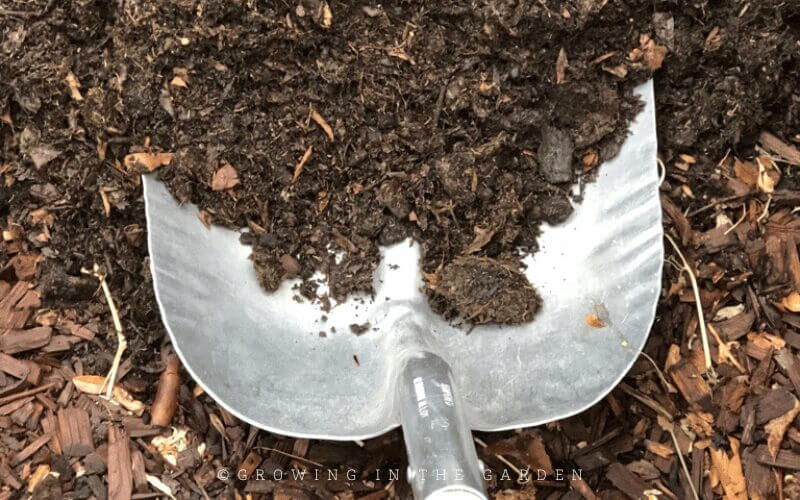 Mulching Your Garden: What to Use & How to Use it