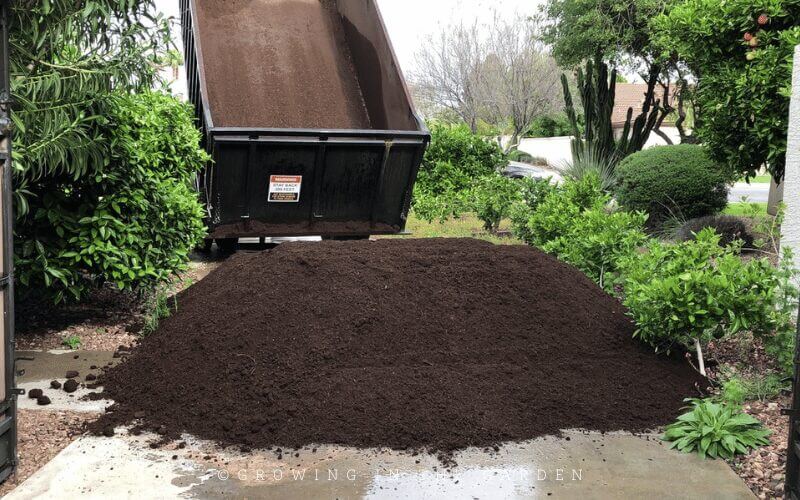 Mulching Your Garden: What to Use & How to Use it