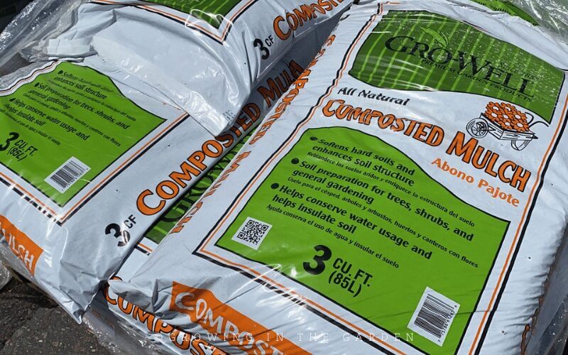 Mulching Your Garden: What to Use & How to Use it