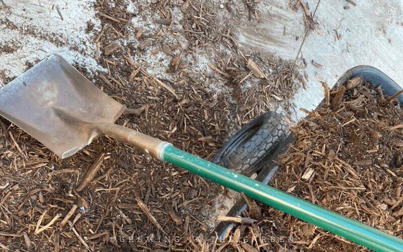 Mulching Your Garden: What to Use & How to Use it