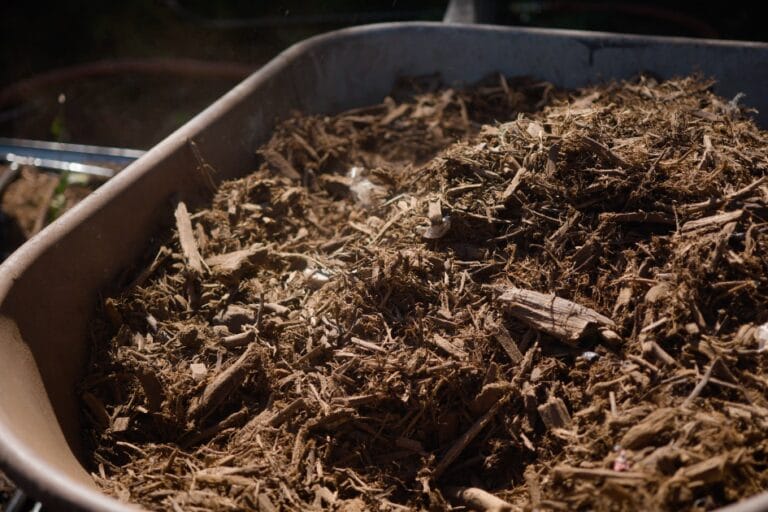 Mulching Your Garden: What to Use & How to Use it featured image