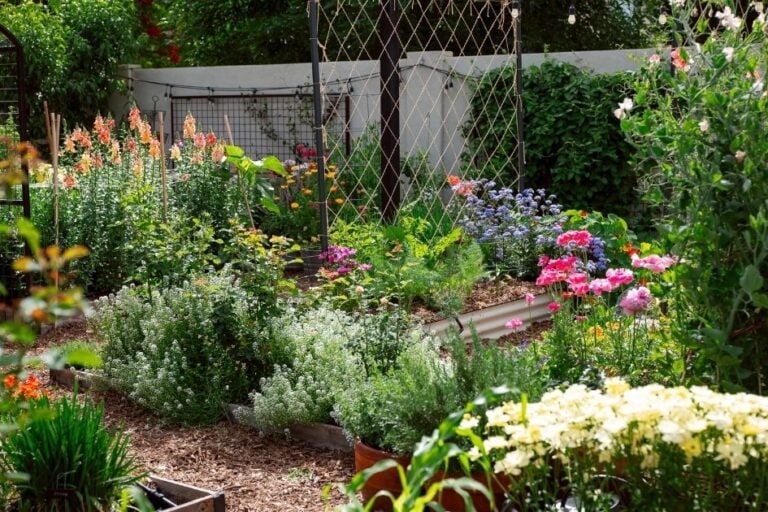 Raised Garden Bed Design: Backyard Layout Ideas That Work featured image