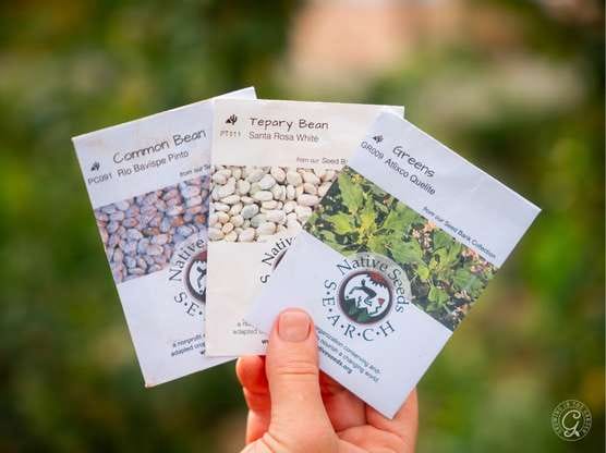 Native Seeds Search featured image