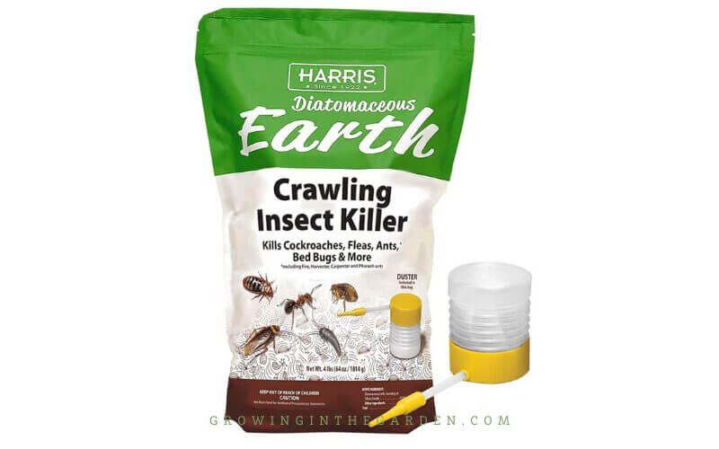 5 Best Ways to Keep Rollie Pollies from Destroying Your Garden - This post shares my favorite natural pill bug control methods. 