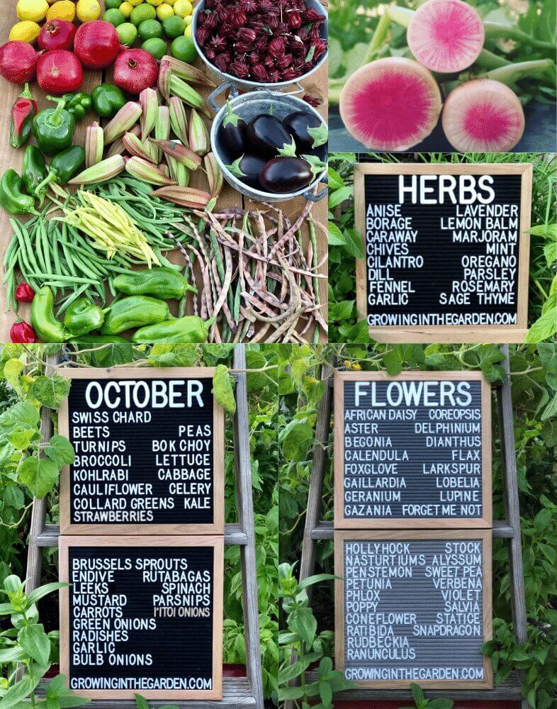 Arizona Planting Guide