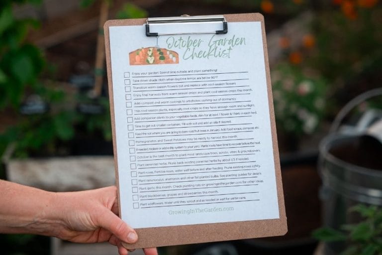 October Desert Gardening featured image