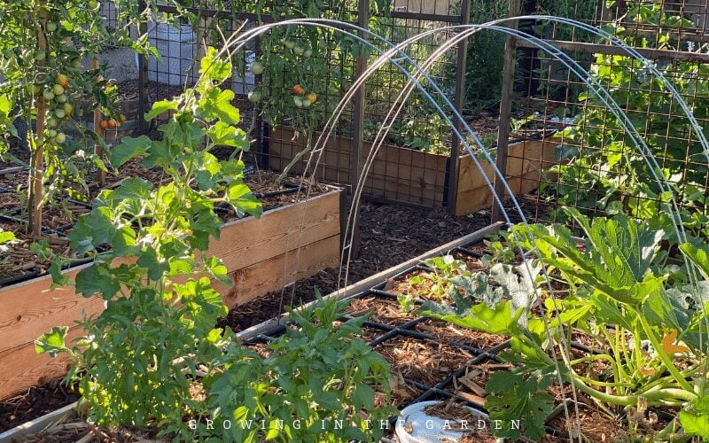 The Easiest Way to Add Vertical Space in the Garden #verticalgardening #gardenhack #gardening #laddermeshblock