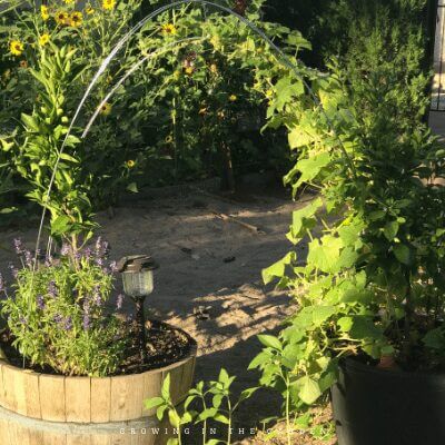 The Easiest Way to Add Vertical Space in the Garden #verticalgardening #gardenhack #gardening #laddermeshblock