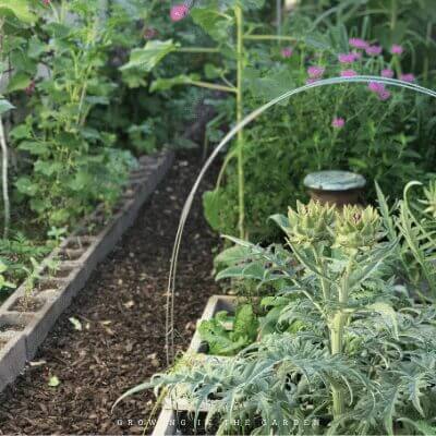 The Easiest Way to Add Vertical Space in the Garden #verticalgardening #gardenhack #gardening #laddermeshblock