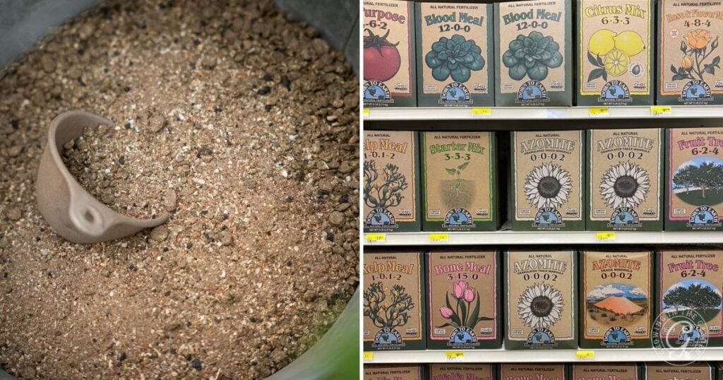 Other Needed Amendments to Prepare Your Soil for Planting