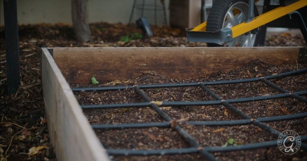 Over time the soil level in your bed goes down