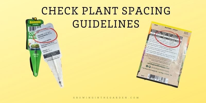 5. Follow plant spacing guidelines to give seeds enough room