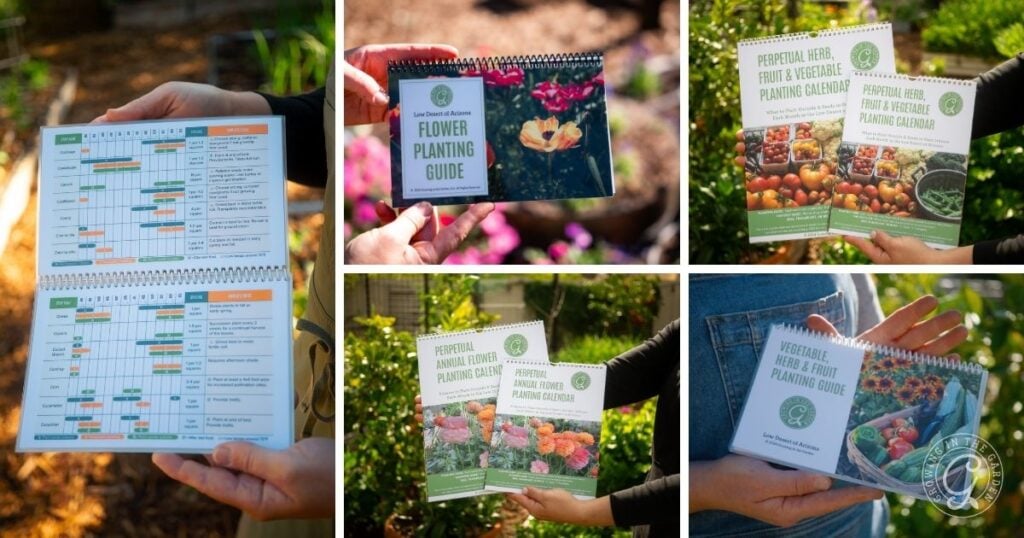 Five images show hands holding colorful gardening guides and planting calendars in an outdoor garden setting, offering tips to help you avoid common vegetable gardening mistakes.