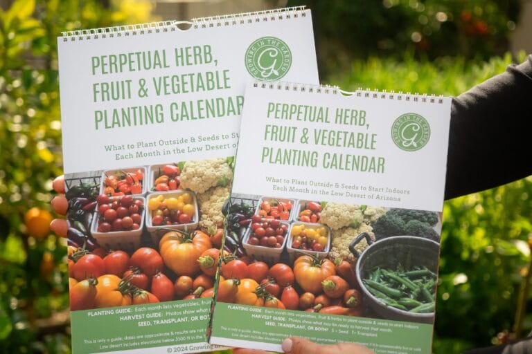 Arizona Vegetable Planting Calendar featured image