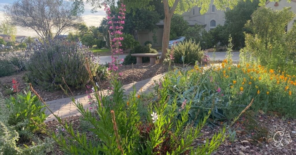 A garden with blooming wildflowers and green shrubs, featuring an insectary border to plant for pollinators. A stone bench sits beside a paved path, and trees provide shade, set in a residential neighborhood on a sunny day.