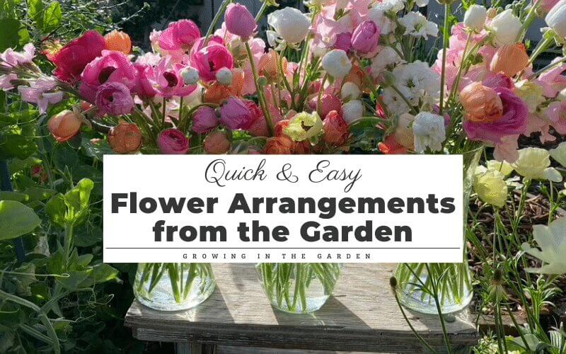 Quick and Easy Flower Arrangements from the Garden