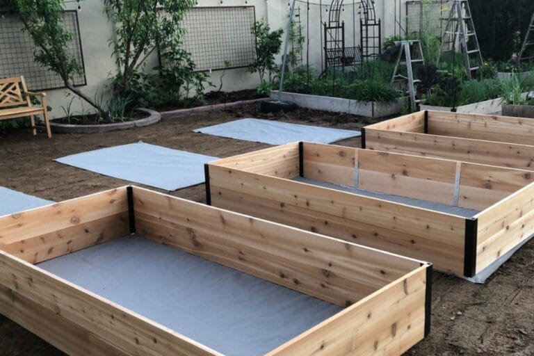 Raised Bed Garden Design Tips featured image