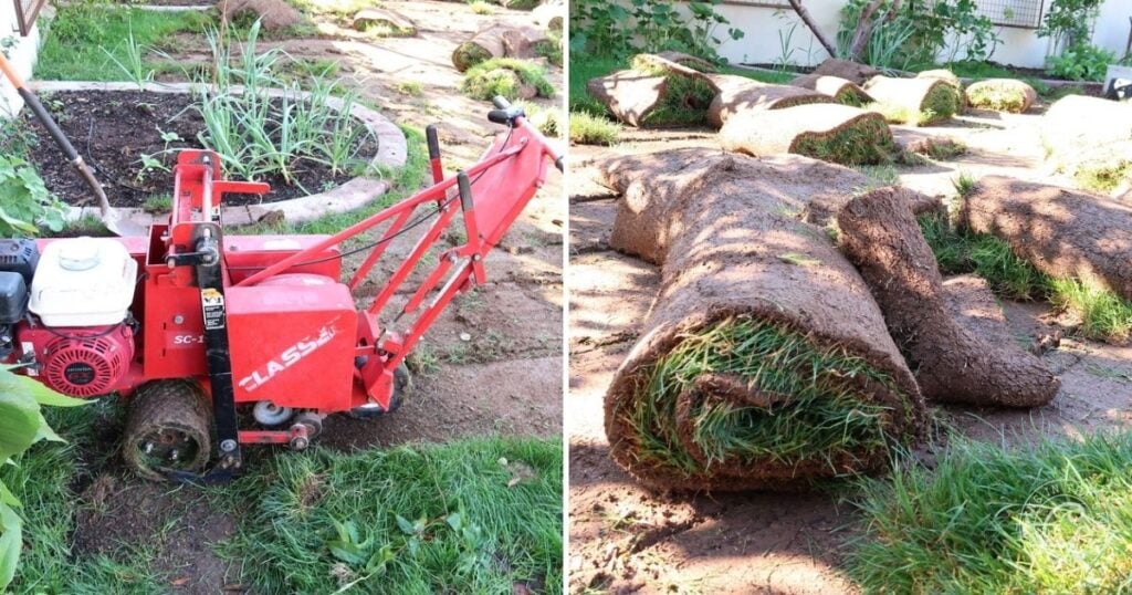 A red sod cutter and several rolls of freshly cut grass on a garden lawn, perfect for those learning how to kill Bermuda Grass and remove stubborn turf efficiently.